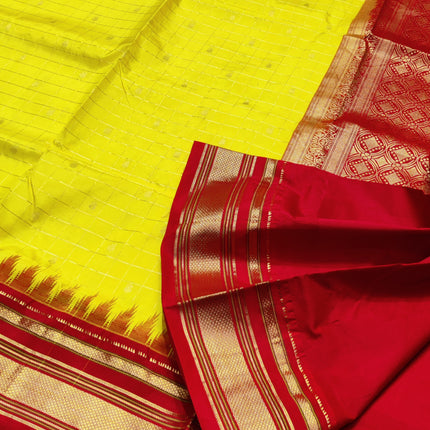 Narayanpet Pure silk saree -NRP03