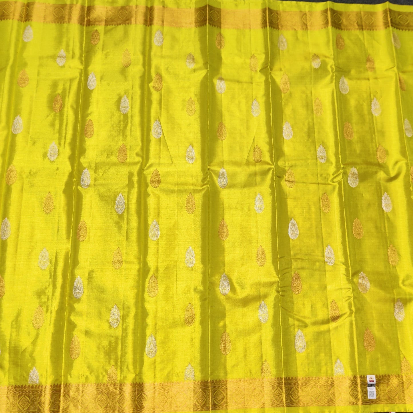 Kanchipure Handloom Tissue saree-KMP350